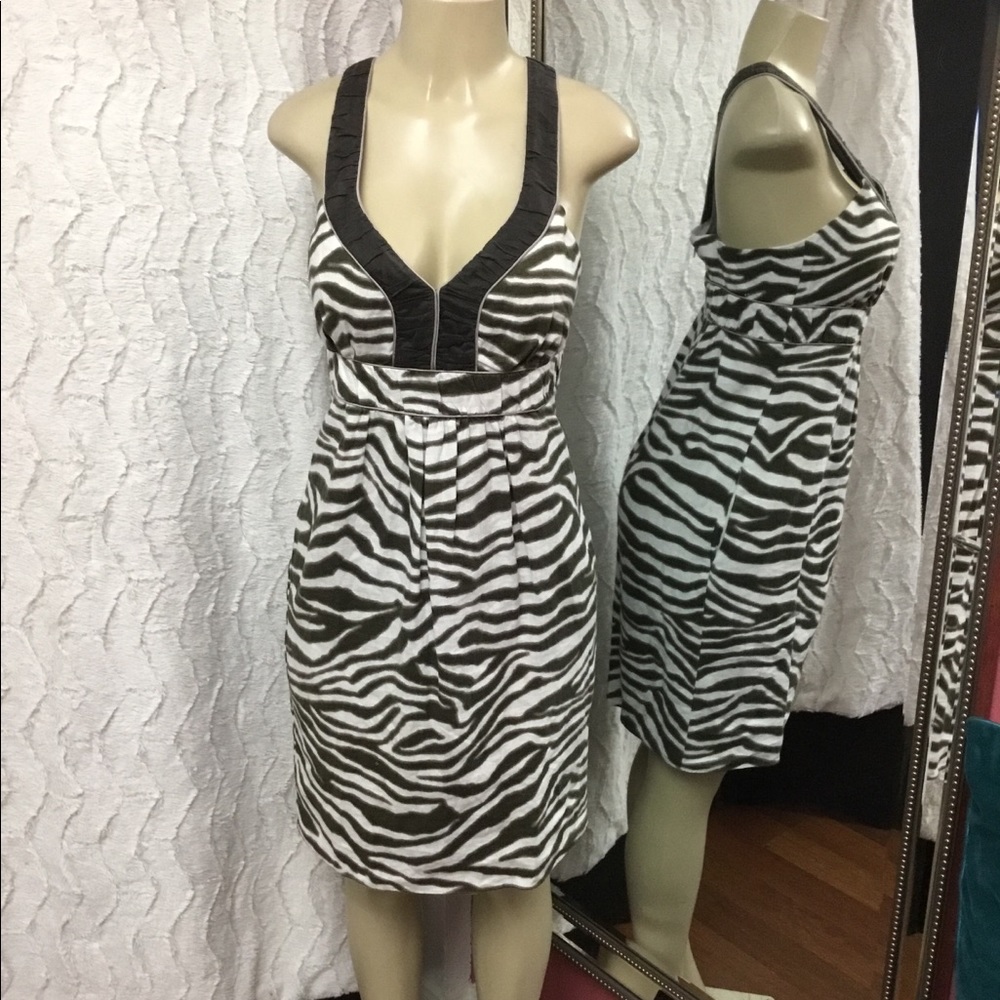 Banana Republic 100% Organic Linen Dress